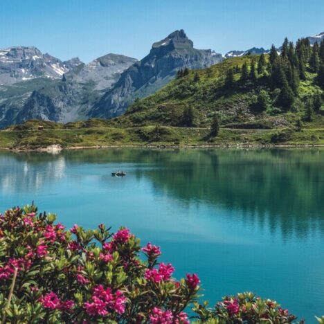 Travel Advisor vs DIY: Which is Best for Your Dream Trip?