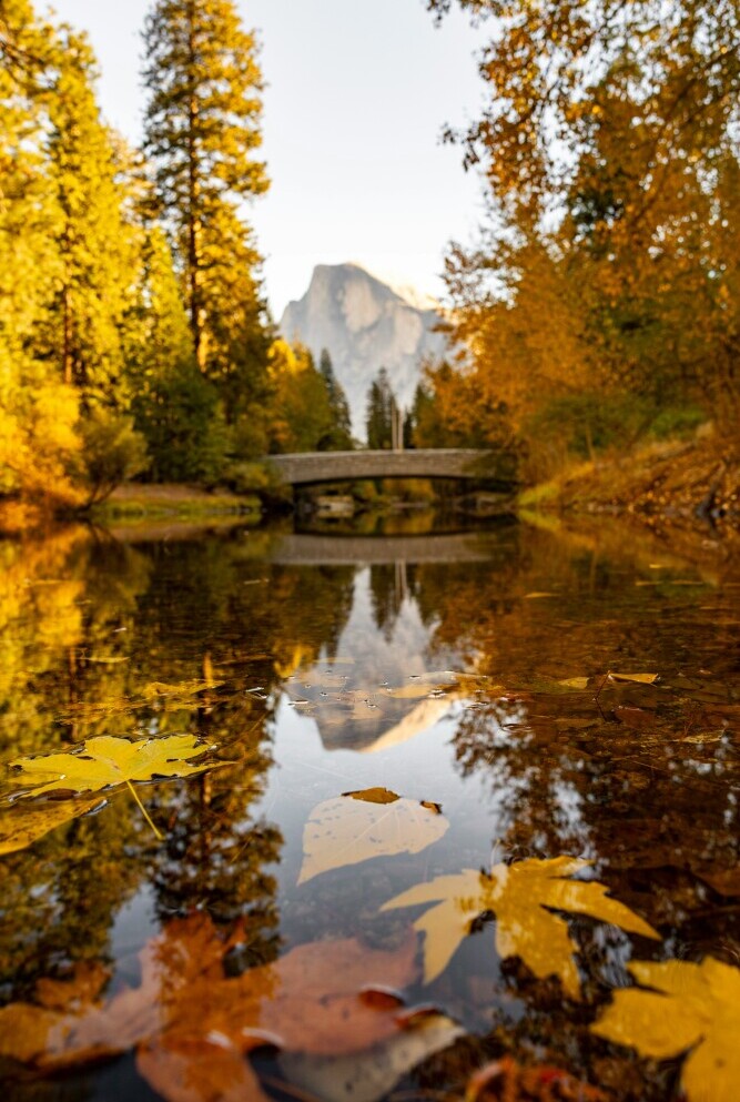 Yosemite Park