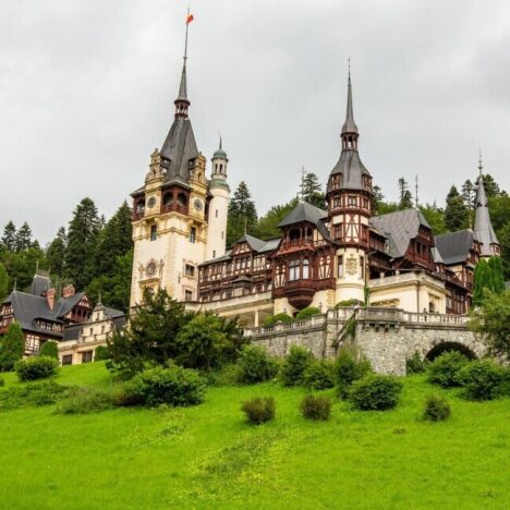 Digital Detox In The Swiss Countryside