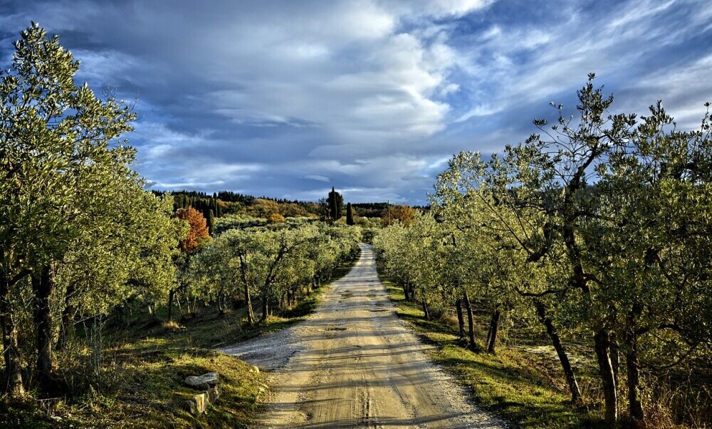 Castellina in Chianti